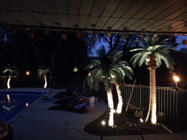 2 Palm Trees / Special Offer-1 - 9' Curved Queen & 1 - 11' Queen